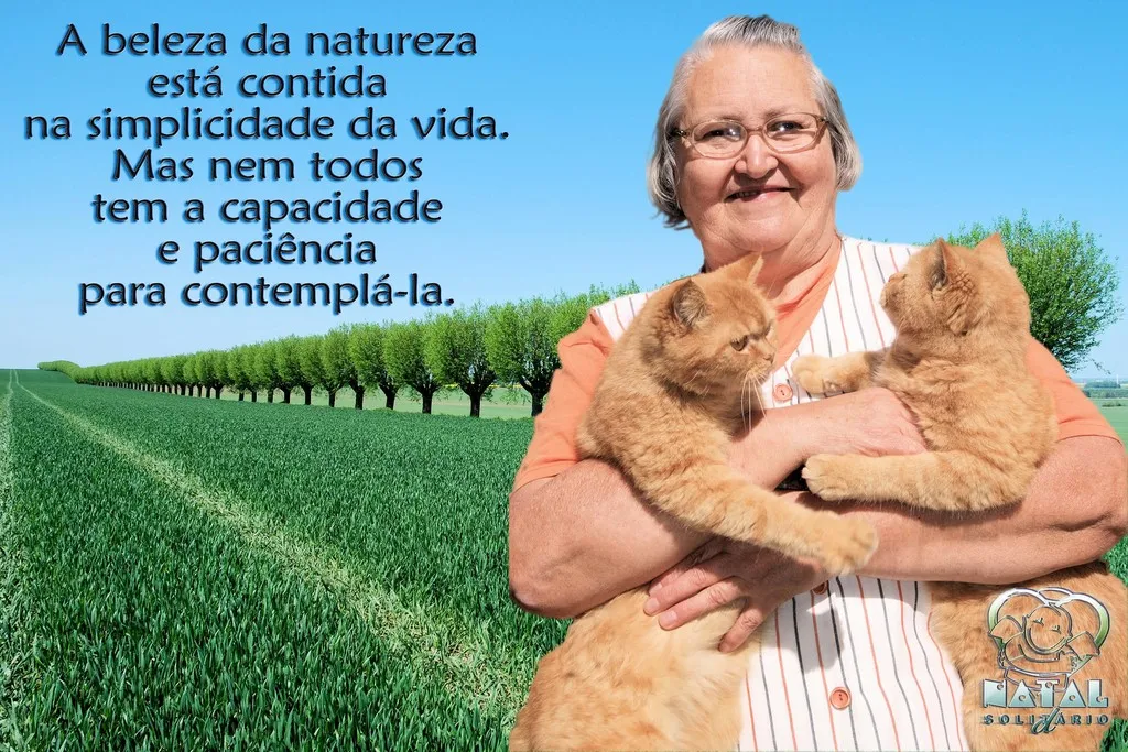 A beleza da natureza